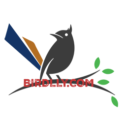 Welcome to Birdlly.com, your ultimate destination for all things related to pet birds. Our passion for these feathered friends drives us to provide the most comprehensive, up-to-date, and reliable information on bird care, health, and companionship.